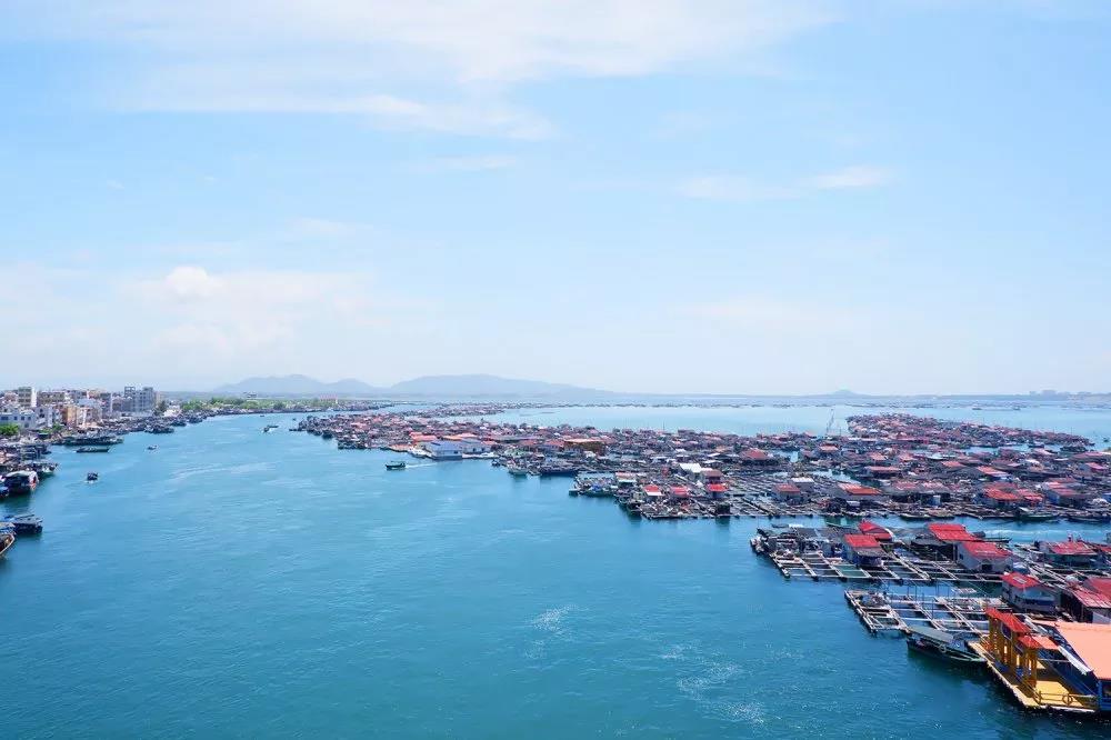 ����� -jinnianhui | jinnian