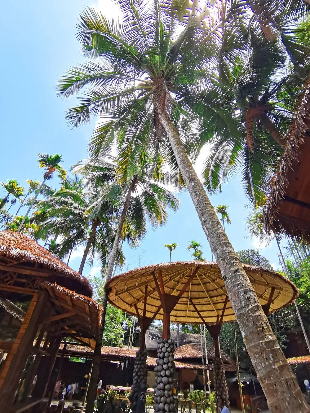 ����� -jinnianhui | jinnian